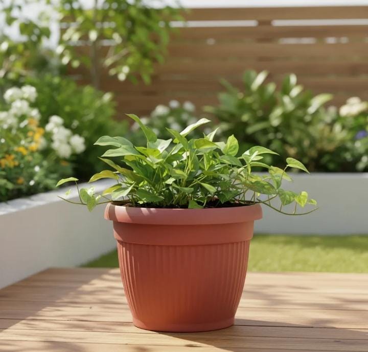 Maceta Toscana Del N.12